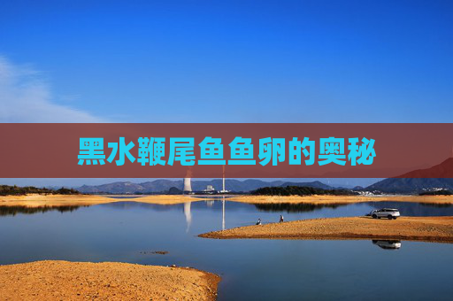 黑水鞭尾鱼鱼卵的奥秘 黑水鞭尾鱼鱼卵的奥秘