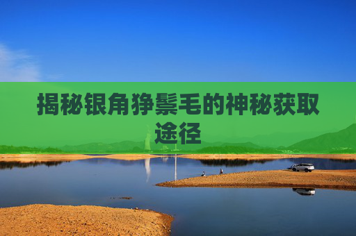 揭秘银角狰鬃毛的神秘获取途径