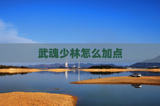 武魂少林怎么加点 武魂少林怎么加点