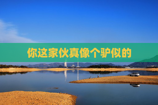 你这家伙真像个驴似的 你这家伙真像个驴似的