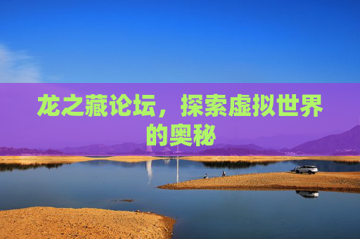 龙之藏论坛，探索虚拟世界的奥秘