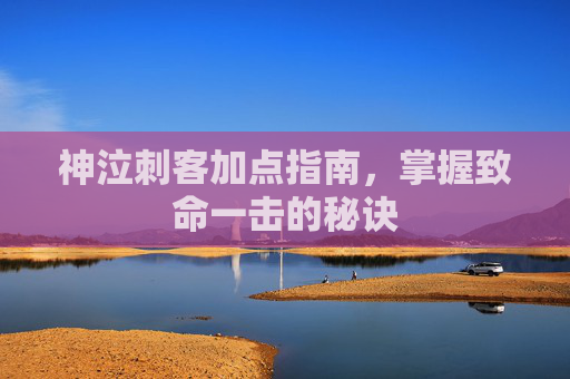 神泣刺客加点指南,掌握致命一击的秘诀 神泣刺客加点指南,掌握致命一击的秘诀