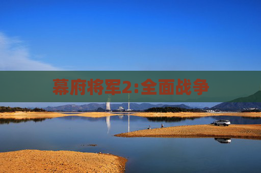 幕府将军2:全面战争