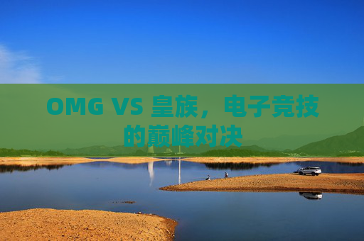OMG VS 皇族,电子竞技的巅峰对决 OMG VS 皇族,电子竞技的巅峰对决