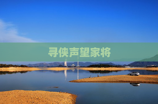 寻侠声望家将