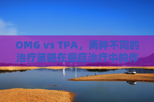 OMG vs TPA,两种不同的治疗策略在癌症治疗中的作用与影响 OMG vs TPA,两种不同的治疗策略在癌症治疗中的作用与影响