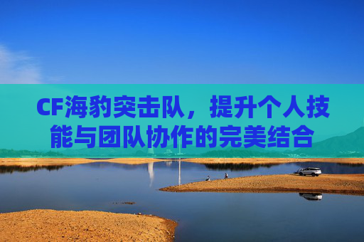 CF海豹突击队,提升个人技能与团队协作的完美结合 CF海豹突击队,提升个人技能与团队协作的完美结合