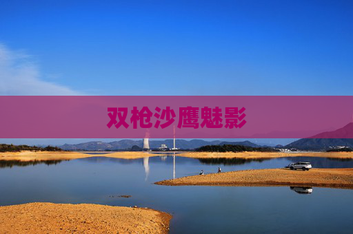 双枪沙鹰魅影