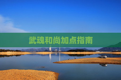 武魂和尚加点指南