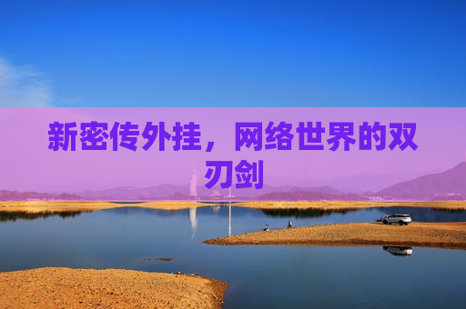 新密传外挂,网络世界的双刃剑 新密传外挂,网络世界的双刃剑