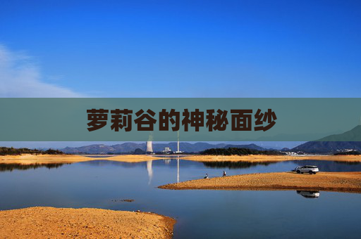 萝莉谷的神秘面纱 萝莉谷的神秘面纱
