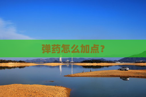 弹药怎么加点? 弹药怎么加点?