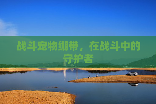 战斗宠物绷带,在战斗中的守护者 战斗宠物绷带,在战斗中的守护者