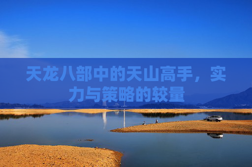 天龙八部中的天山高手,实力与策略的较量 天龙八部中的天山高手,实力与策略的较量