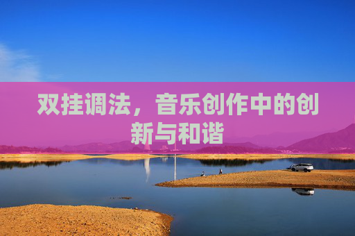 双挂调法,音乐创作中的创新与和谐 双挂调法,音乐创作中的创新与和谐