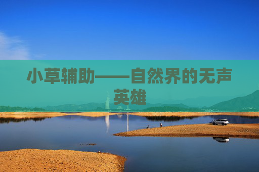小草辅助——自然界的无声英雄 小草辅助——自然界的无声英雄