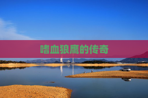 嗜血狼鹰的传奇 嗜血狼鹰的传奇
