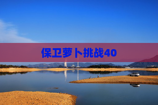 保卫萝卜挑战40 保卫萝卜挑战40