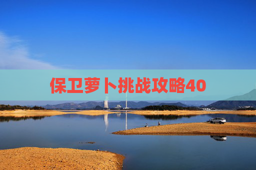 保卫萝卜挑战攻略40 保卫萝卜挑战攻略40