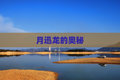 月迅龙的奥秘 月迅龙的奥秘