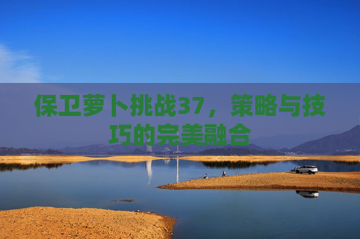 保卫萝卜挑战37，策略与技巧的完美融合