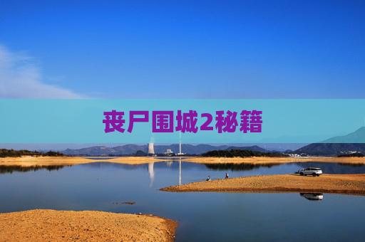 丧尸围城2秘籍