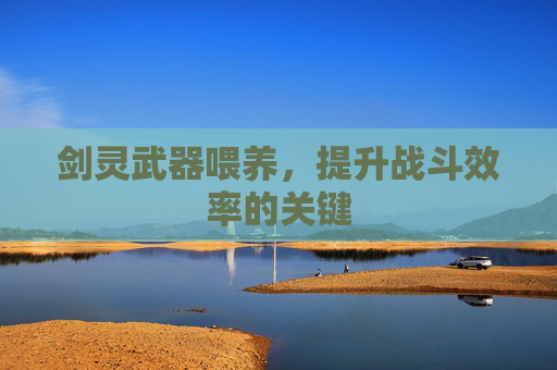 剑灵武器喂养，提升战斗效率的关键