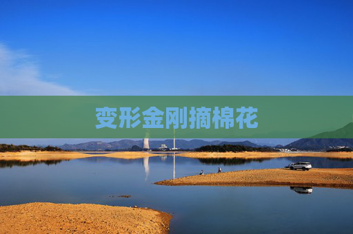 变形金刚摘棉花 变形金刚摘棉花