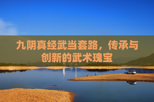 九阴真经武当套路，传承与创新的武术瑰宝