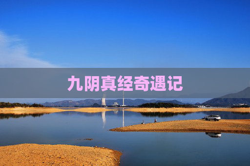 九阴真经奇遇记 九阴真经奇遇记