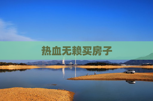 热血无赖买房子