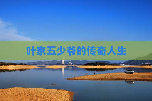 叶家五少爷的传奇人生 叶家五少爷的传奇人生
