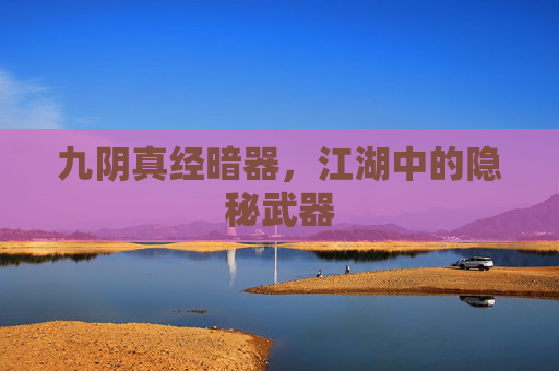 九阴真经暗器，江湖中的隐秘武器