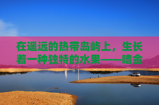 在遥远的热带岛屿上，生长着一种独特的水果——嗜金甜橙。这种水果不仅以其诱人的金黄色泽和甜美的口感而闻名，更因其稀有性和珍贵性而备受人们追捧