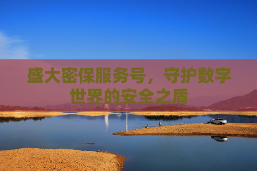 盛大密保服务号,守护数字世界的安全之盾 盛大密保服务号,守护数字世界的安全之盾