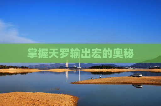 掌握天罗输出宏的奥秘 掌握天罗输出宏的奥秘