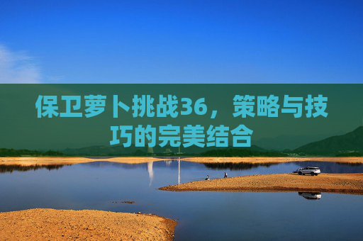 保卫萝卜挑战36,策略与技巧的完美结合 保卫萝卜挑战36,策略与技巧的完美结合