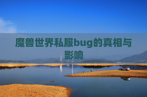 魔兽世界私服bug的真相与影响 魔兽世界私服bug的真相与影响