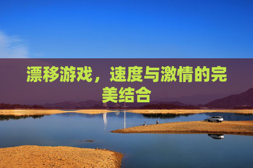 漂移游戏,速度与激情的完美结合 漂移游戏,速度与激情的完美结合