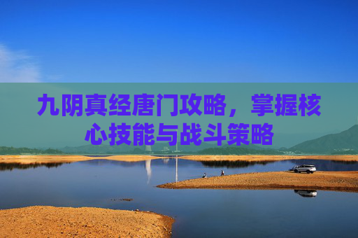 九阴真经唐门攻略,掌握核心技能与战斗策略 九阴真经唐门攻略,掌握核心技能与战斗策略