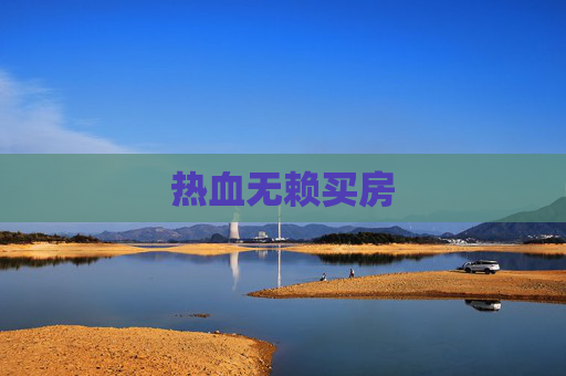 热血无赖买房 热血无赖买房