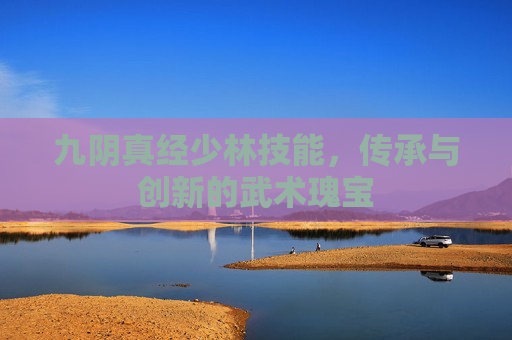 九阴真经少林技能,传承与创新的武术瑰宝 九阴真经少林技能,传承与创新的武术瑰宝
