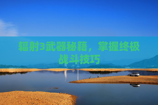 辐射3武器秘籍，掌握终极战斗技巧