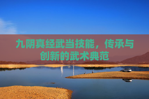 九阴真经武当技能，传承与创新的武术典范