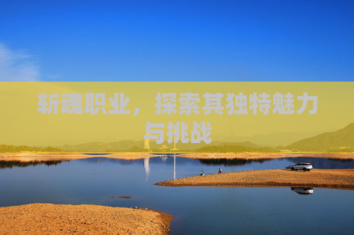 斩魂职业，探索其独特魅力与挑战