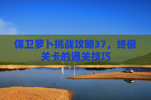 保卫萝卜挑战攻略37,终极关卡的通关技巧 保卫萝卜挑战攻略37,终极关卡的通关技巧