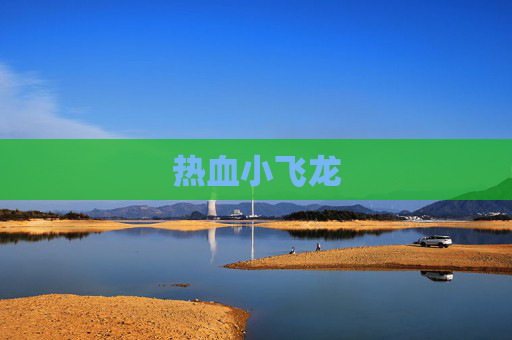 热血小飞龙 热血小飞龙