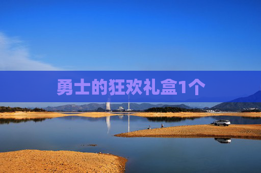 勇士的狂欢礼盒1个