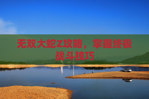 无双大蛇Z攻略,掌握终极战斗技巧 无双大蛇Z攻略,掌握终极战斗技巧