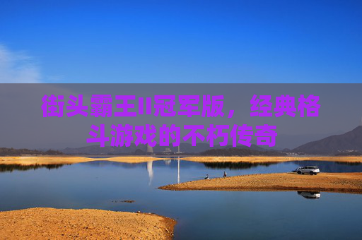 街头霸王II冠军版，经典格斗游戏的不朽传奇